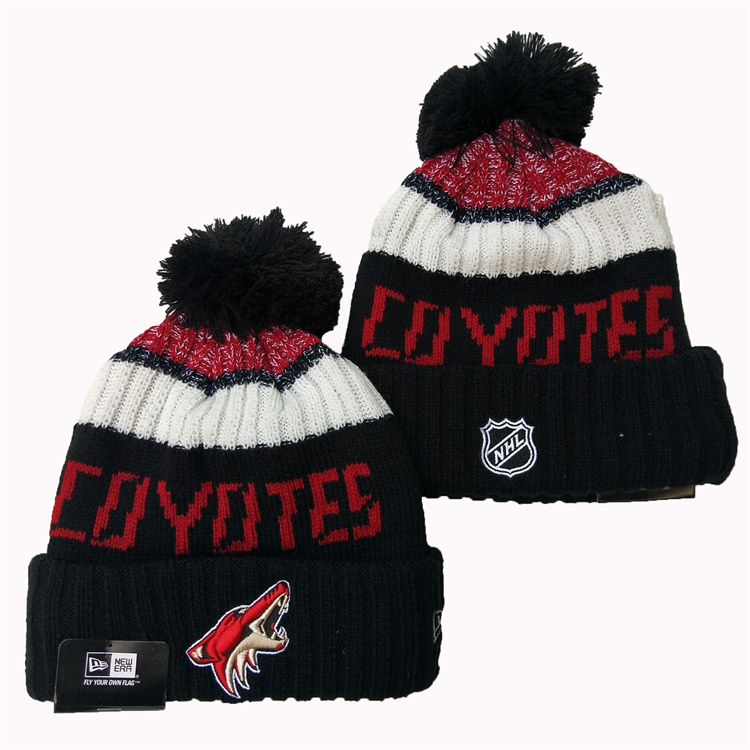 Arizona Coyotes Knit Hats 001